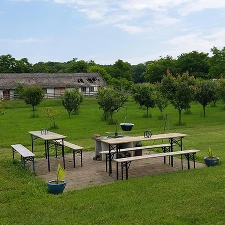 Hédervári Lovas Hédervár