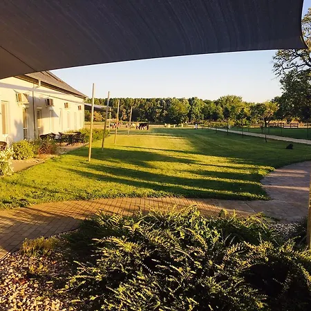 Hédervári Lovas 3*