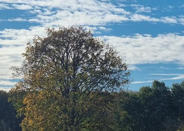Pensjonat Hedervari Lovas Vendeghaz Hédervár